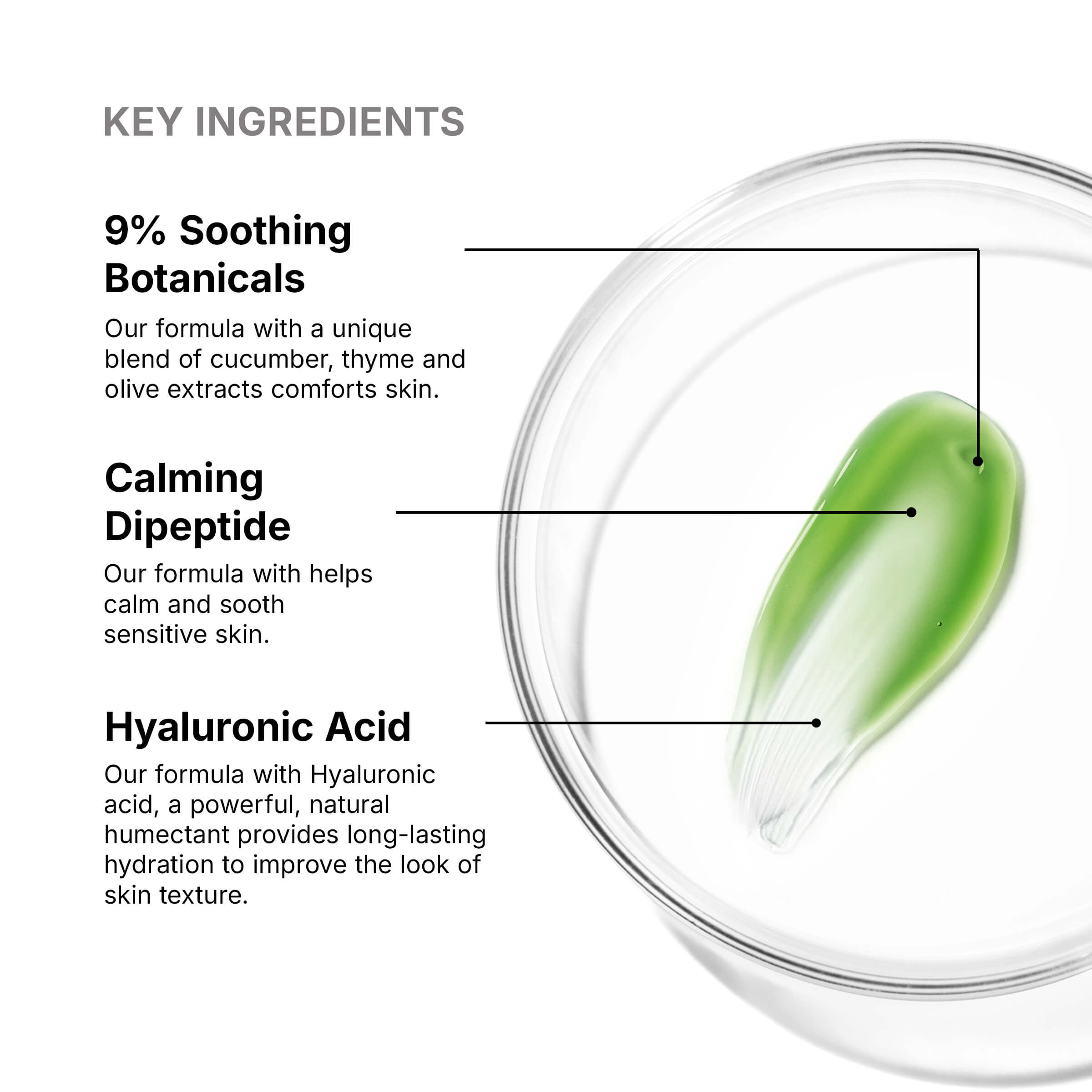 SkinCeuticals Phyto Corrective Masque 60ml