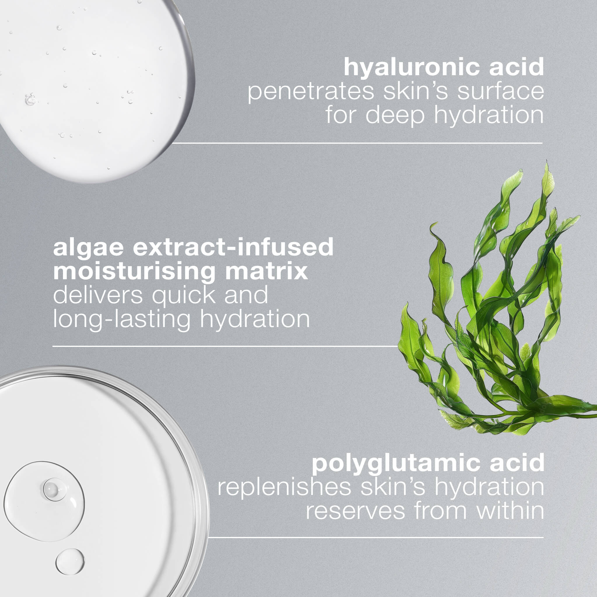 Dermalogica Circular Hydration Serum 59ml